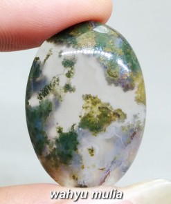 gambar jual Batu Akik Natural Lumut Trenggalek Hijau Asli sawe suliki garut hijau unik bagus ciri harga khasiat_4