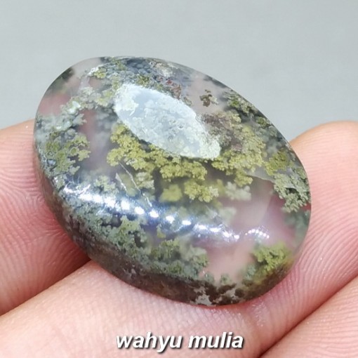 image Batu Akik Natural Lumut Sawe Trenggalek Asli termahal kolektor item terunik juara harga ciri kegunaan_2