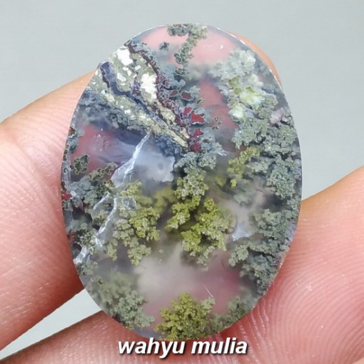 image Batu Akik Natural Lumut Sawe Trenggalek Asli termahal kolektor item terunik juara harga ciri kegunaan_3