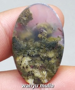 jual Natural Batu Lumut Unik Trenggalek Antik Asli bersertifikat bahan bongkahan grosir harga murah khasiat tuah macam_3