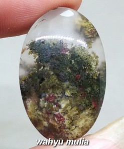 jual Natural Batu Lumut Unik Trenggalek Antik Asli bersertifikat bahan bongkahan grosir harga murah khasiat tuah macam_4