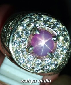 foto jual Batu Cincin Purple Safir Star Ceylon Mata Udang Asli srilangka natural bersertifikat manfaat ciri jenis _2