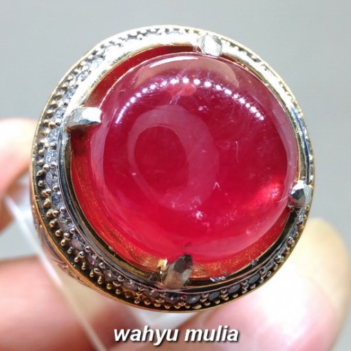 Dijual Batu Cincin Ruby Merah Delima Besar asli berkhodam bersertifikat mustika natural berkhasiat harga afrika_1