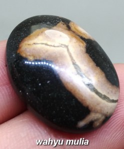 gambar Batu Akik Galih Kelor asli natural berkhodam mustika mantra bacaan mengaktifkan tes khasiat harga jenis_2