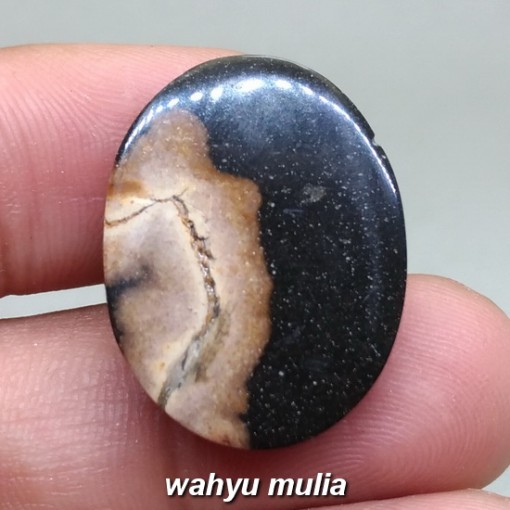 gambar Batu Akik Galih Kelor asli natural berkhodam mustika mantra bacaan mengaktifkan tes khasiat harga jenis_3