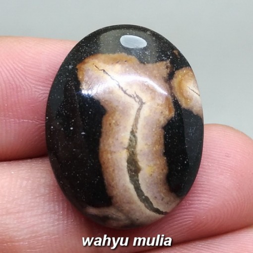 gambar Batu Akik Galih Kelor asli natural berkhodam mustika mantra bacaan mengaktifkan tes khasiat harga jenis_4