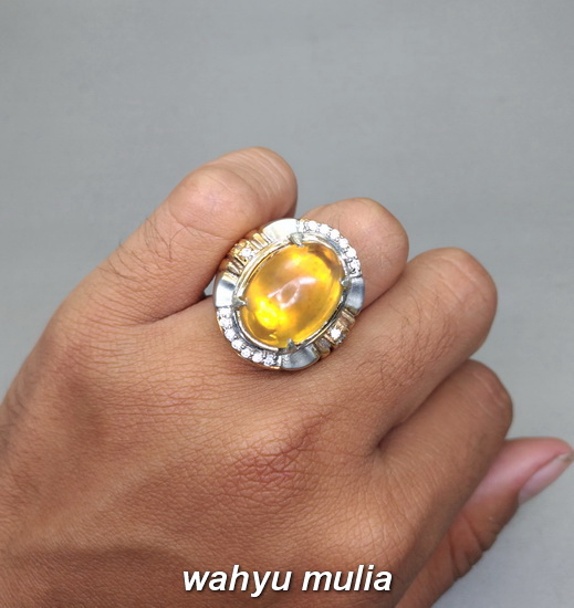 Cincin Batu Akik Fosil Golden Amber  Katilayu Emas Asli 
