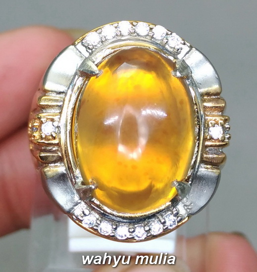 Cincin Batu Akik Fosil Golden Amber  Katilayu Emas Asli 