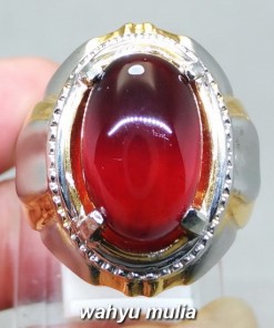 jual Cincin Batu Natural Garnet Merah Selon Asli bersertifikat srilangka asal jenis kegunaan mustika berkhodam lipan_5
