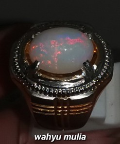 jual Cincin Batu Kalimaya Opal Putih Asli bersertifikat berkhodam bacaan asal jenis ciri cara membedakan afrika banten kalimantan_1