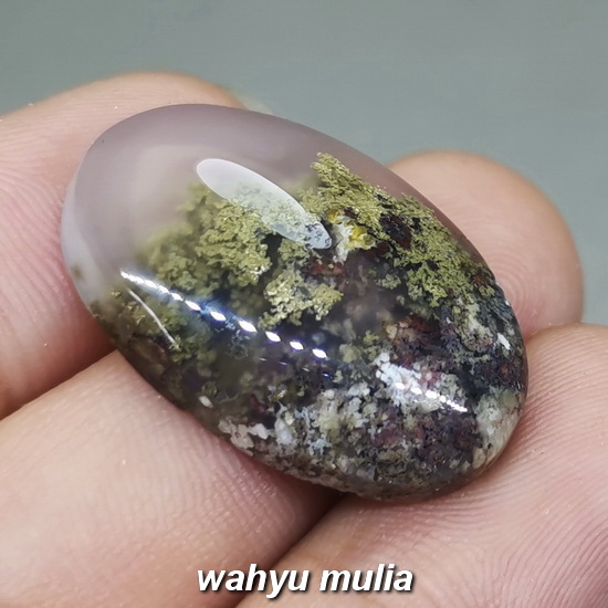 Batu Akik Lumut Hijau Kristal Trenggalek Asli (Kode 1986) - Wahyu Mulia