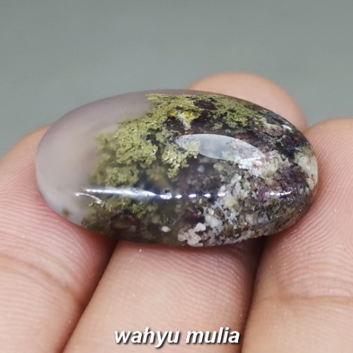 Batu Akik Lumut Hijau Kristal bening Trenggalek Asli natural berkhodam ciri harga khasiat garut bongkahan_4