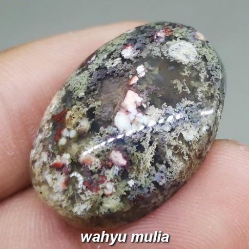 Batu Akik Lumut Karang Akuarium Trenggalek Asli natural bersertifikat berkhasiat_1