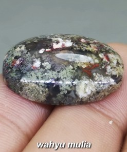 Batu Akik Lumut Karang Akuarium Trenggalek Asli natural bersertifikat berkhasiat_4