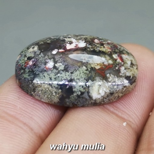 Batu Akik Lumut Karang Akuarium Trenggalek Asli natural bersertifikat berkhasiat_4