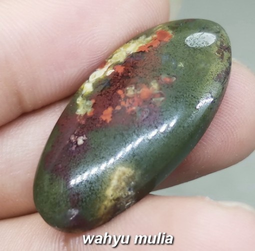 Batu Akik Lumut hijau merah Pancawarna Trenggalek suliki bagus berkhasiat bersertifikat antik akuarium_1