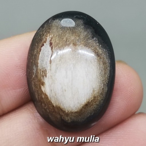 Fosil Batu Akik Galih Kelor Unik Asli tarikan berkhodam malaysi brunei_5