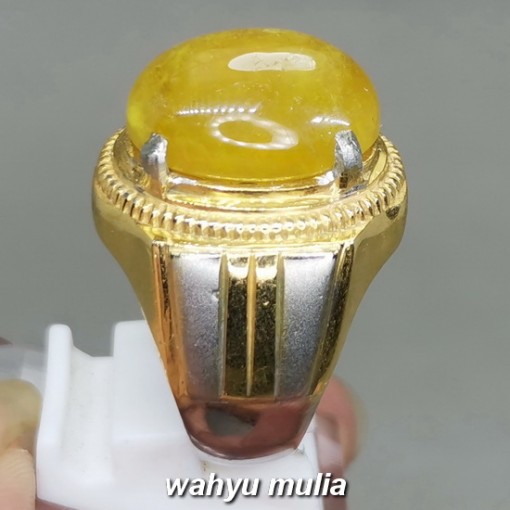Batu cincin Yellow Sapphire Yakult Asli bagus berkualitas